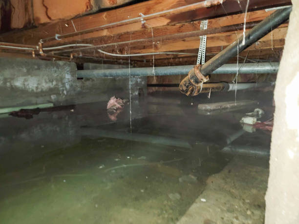 Best Commercial water damage restoration  in Fulton, NY