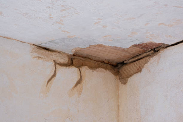Best Fire Damage Restoration  in Fulton, NY