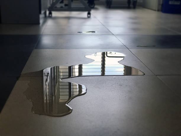 Best Water damage restoration near me  in Fulton, NY