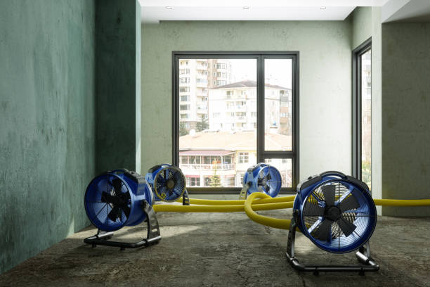 Best Water damage restoration services  in Fulton, NY